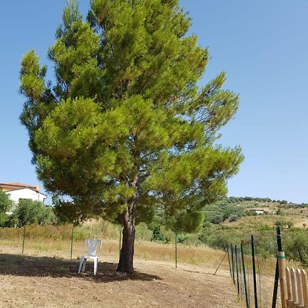 Villetta Nel Verde Ascea Ngoại thất bức ảnh
